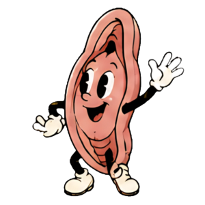 Vagina